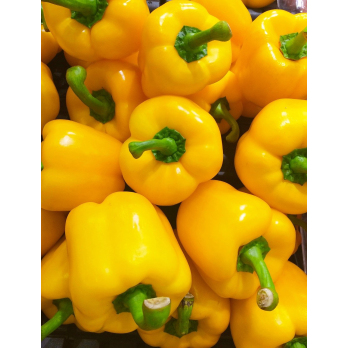 Paprika gelb