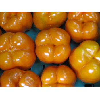 Paprika orange