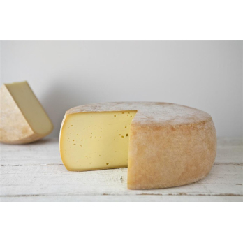 Deichkäse - laktosefrei -