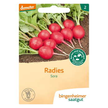 Radies Sora, Bingenheimer Saatgut