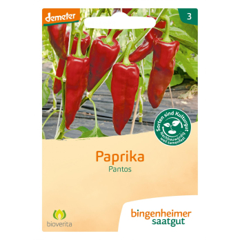 Samen Paprika Pantos