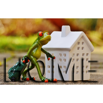 PAD Coming Home Box - Single -